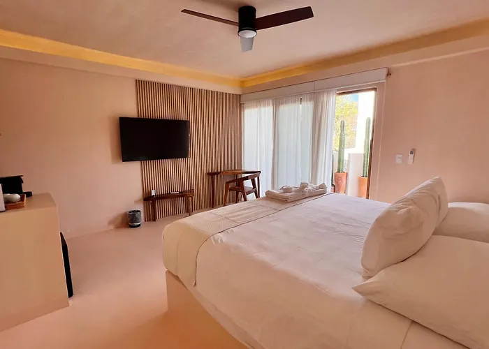 Xeno Hotel Boutique